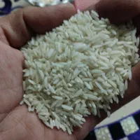 برنج درجه یک هاشمی ۷۰ کیلو