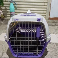 باکس سگو گربه و خرگوش