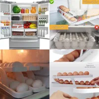 نگهدارنده ریلی تخم مرغ|ظروف نگهدارنده، پلاستیکی، یکبارمصرف|مشهد, نیزه|دیوار