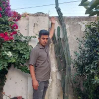 فروش کاکتوس وسیکاس