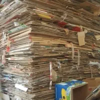 کارتن ضایعاتی