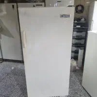 یخچال فریزر ۱۰فوت ایران پویا