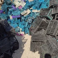 کارگر ساده در کارگاه آسیاب سبد