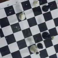 همنشین دورهمی