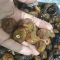 انجیر خشک امسالی