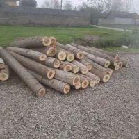 خرید چوب صنوبر و....|خدمات باغبانی و درختکاری|کوچصفهان, |دیوار