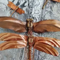 سنجاقک مسی و برنز