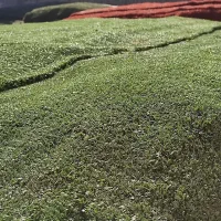 فروش چمن مصنوعی خارجی با کمترین قیمت