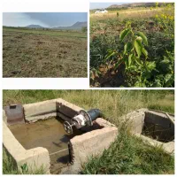 زمین-کشاورزی-فروشی-آستانه-800-متر