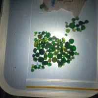 سنگ گارنت سبز|جواهرات|صوغان, |دیوار