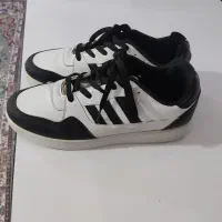 کفش شماره 43