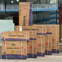 کولر گازی برلین