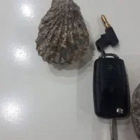 فسیل سالم و کامل قدیمی