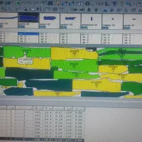 خدمات پلت/طراحی الگو/نمونه دوزی/چیدمان/دیجیت