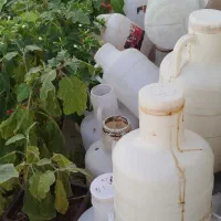 دبه