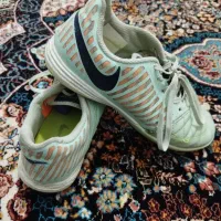 تربت حیدریه|کیف، کفش، کمربند|تربتحیدریه, رضاشهر|دیوار