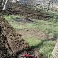 تیلر|خدمات باغبانی و درختکاری|جوکار, |دیوار