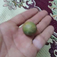 سنگ قیمتی|جواهرات|اردبیل, |دیوار