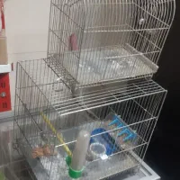 دوتا قفس پرنده کوچک و بزرگ|لوازم جانبی حیوانات|سنندج, |دیوار