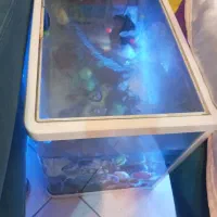 اکواریوم شیشه خم باتجهیزات