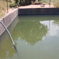 زمین باغ بادوم ب همراه چشمه و استخر|فروش دفتر صنعتی، کشاورزی، تجاری|عجب شیر, |دیوار