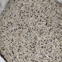 لوبیا چشم بلبلی درجه یک دانه درشت هر کیلو 180