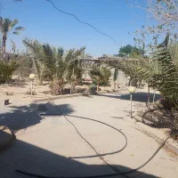 فروش فوری  باغ شهری|فروش خانه و ویلا|گراش, |دیوار