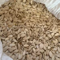 تخم کدو اعلا بوجاری شده|خوردنی و آشامیدنی|حسین آباد, |دیوار