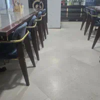 آشپز حرفه ای