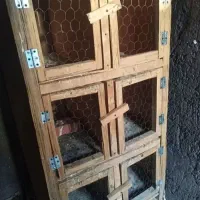 جفت کنی کفتر