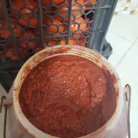 رب گوجه فرنگی|خوردنی و آشامیدنی|تهران, بوستان شیان|دیوار
