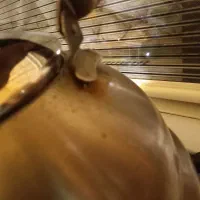 کتری|قوری، کتری، قهوه‌ساز دستی|تهران, دردشت|دیوار