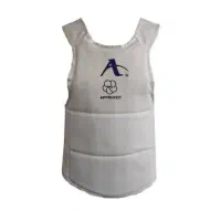 هوگو کاراته