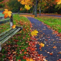 کارگردامداری|استخدام سرایداری و نظافت|سجاس رود, |دیوار