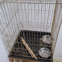 قفس طوطی|لوازم جانبی حیوانات|مراغه, |دیوار