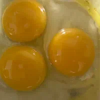 جوجه مرغ وخروس ویاندوت، خروس برهما«تخم مرغ»