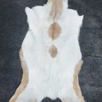 پوست بز دباغی شده با کیفیت ضمانتی