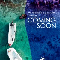 استخدام صندوقدار حرفه ای