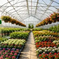 فرصتی-استثنائی-جهت-خرید-گلخانه-شهریار