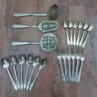 سرویس ورشو اصل