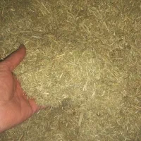 یونجه کوبیده دیم