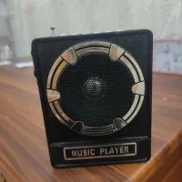 اسپیکر فلش خور و رادیو