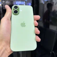 17 ماچایی/بدون پیش بردار ببر