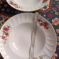 ظروف گل سرخی