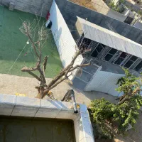 کارگر ۲۴ساعته با جای خواب