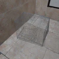 قفس  سهره عروس هلندی|لوازم جانبی حیوانات|قدس, شهر‌قدس|دیوار