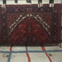 به تعدادی بافنده فرش در منزل خودتان نیازمندیم