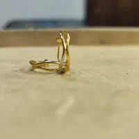 گوشواره های حلقه ای|جواهرات|کاشان, بازار کاشان|دیوار