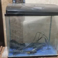 آکواریوم شیشه خم