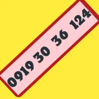 0919.30.36.124